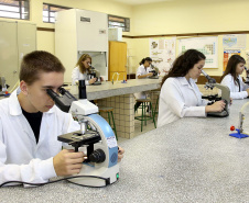 Melhor educação do Brasil: formação e estrutura transformam o ensino no Paraná