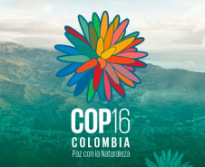 IAT COP 16