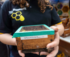 27ª Feira do Colégio Agrícola CEEP Manoel Moreira Pena, de Foz do Iguaçu, evidencia capacitação dos alunos em técnicas agrícolas e tecnologias sustentáveis