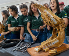 27ª Feira do Colégio Agrícola CEEP Manoel Moreira Pena, de Foz do Iguaçu, evidencia capacitação dos alunos em técnicas agrícolas e tecnologias sustentáveis