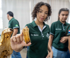 27ª Feira do Colégio Agrícola CEEP Manoel Moreira Pena, de Foz do Iguaçu, evidencia capacitação dos alunos em técnicas agrícolas e tecnologias sustentáveis