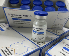 Paraná deve receber nova remessa com 96.600 doses de vacina contra a Covid-19