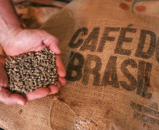 Mesmo com menor produção, café garante mais rendimento ao produtor