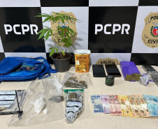 PCPR PRENDE 14 PESSOAS NOVA ESPERANÇA