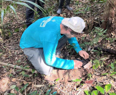 Portos do Paraná encerra outubro com atividades socioambientais no litoral do Estado