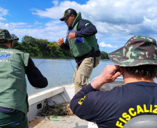 IAT PIRACEMA
