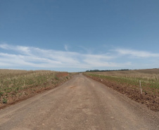 PR-459 Clevelândia a Mangueirinha Rodovia entre Clevelândia e Mangueirinha terá investimentos de R$ 8,1 mi em conservação