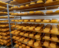 queijo