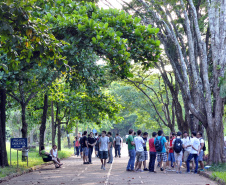 Censo da Educação Superior: Paraná é o estado com mais universitários do Sul do Brasil