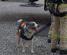 Simulação de resgate do Corpo de Bombeiros movimenta a Boca Maldita
