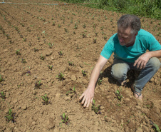 O produtor rural Luiz Claudio Ravaglio da Rocha, de São José dos Pinhais, foi um dos beneficiados com o programa municipal de certificação de orgânicos, que tem a parceria do Tecpar. 