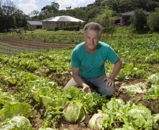 O produtor rural Luiz Claudio Ravaglio da Rocha, de São José dos Pinhais, foi um dos beneficiados com o programa municipal de certificação de orgânicos, que tem a parceria do Tecpar. 