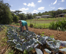 O produtor rural Luiz Claudio Ravaglio da Rocha, de São José dos Pinhais, foi um dos beneficiados com o programa municipal de certificação de orgânicos, que tem a parceria do Tecpar. 