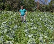 O produtor rural Luiz Claudio Ravaglio da Rocha, de São José dos Pinhais, foi um dos beneficiados com o programa municipal de certificação de orgânicos, que tem a parceria do Tecpar. 