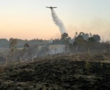 Incêndios florestais no Paraná caem 57% entre a primeira quinzena de setembro e outubro