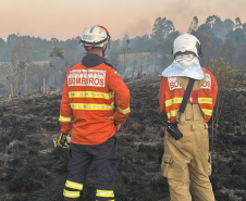 Incêndios florestais no Paraná caem 57% entre a primeira quinzena de setembro e outubro