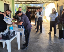 Treino visita para o cultivo de morango dá bons resultados na Região Metropolitana de Curitiba