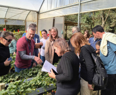 Treino visita para o cultivo de morango dá bons resultados na Região Metropolitana de Curitiba