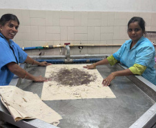 Paraná firma parceria com associação indiana para desenvolvimento da sericultura