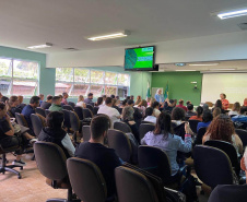 Saúde discute novas tecnologias para combate à dengue no Paraná