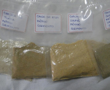 Concentrado proteico feito a partir da CMS ( carne mecanicamente separada ) da tilapia, obtido do espinhaco que sobra da filetagem.
