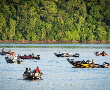 Novo ciclo do projeto Rio Vivo vai soltar 2,6 milhões de peixes nativos nas bacias do Paraná a partir deste mês