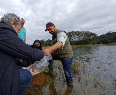 Novo ciclo do projeto Rio Vivo vai soltar 2,6 milhões de peixes nativos nas bacias do Paraná a partir deste mês