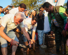 Novo ciclo do projeto Rio Vivo vai soltar 2,6 milhões de peixes nativos nas bacias do Paraná a partir deste mês