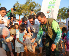 Novo ciclo do projeto Rio Vivo vai soltar 2,6 milhões de peixes nativos nas bacias do Paraná a partir deste mês