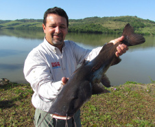 Novo ciclo do Rio Vivo vai soltar 2,6 milhões de peixes nativos nas bacias do Paraná