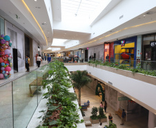 cascavel