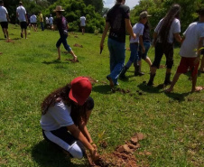 Ações elaboradas pelo IAT no Estado recuperaram mais de 6 hectares de mata ciliar em Áreas de Proteção Ambiental (APP)
