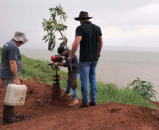Ações elaboradas pelo IAT no Estado recuperaram mais de 6 hectares de mata ciliar em Áreas de Proteção Ambiental (APP)
