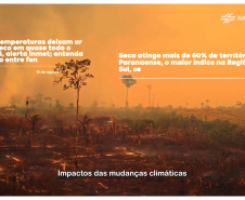 SANEPAR NOVA CAMPANHA
