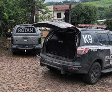 PCPR e PMPR prendem três homens por tráfico de drogas e apreendem 91 mil reais em Dois Vizinhos