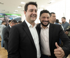EMENDAS