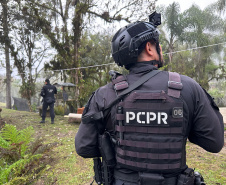 PCPR prende 12 pessoas em operação contra o tráfico de drogas em quatro cidades do Paraná