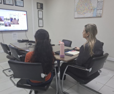 Adapar inicia ciclo de vigilância ativa contra Influenza Aviária e Doença de Newcastle no Paraná