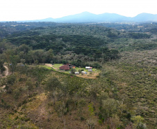 CAMINHOS PEABIRU