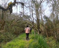 CAMINHOS PEABIRU