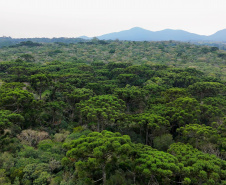 CAMINHOS PEABIRU