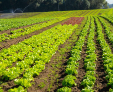 Prêmio Orgulho da Terra homenageia os 19 vencedores de 2024