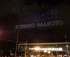 DRONES