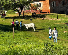Secretaria da Saúde realiza ações para investigação de casos de Febre do Nilo