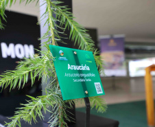 IAT EVENTO MEIO AMBIENTE MON