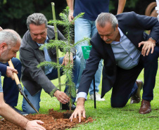 IAT EVENTO MEIO AMBIENTE MON