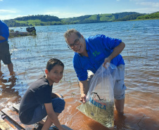 Na primeira fase do Rio Vivo, entre 2021 e 2022, foram soltos 1,1 milhão de peixes nativos no Iguaçu.