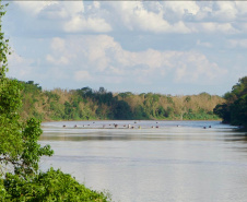 IAT - RIO VIVO