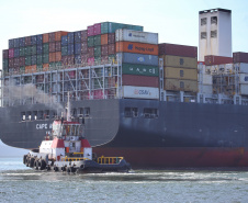 EXPORTAÇÕES