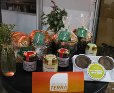 IDR ORGULHO DA TERRA